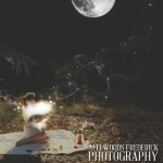 14-52-theme-radiate-fickle finger of fate-alli woods frederick photography