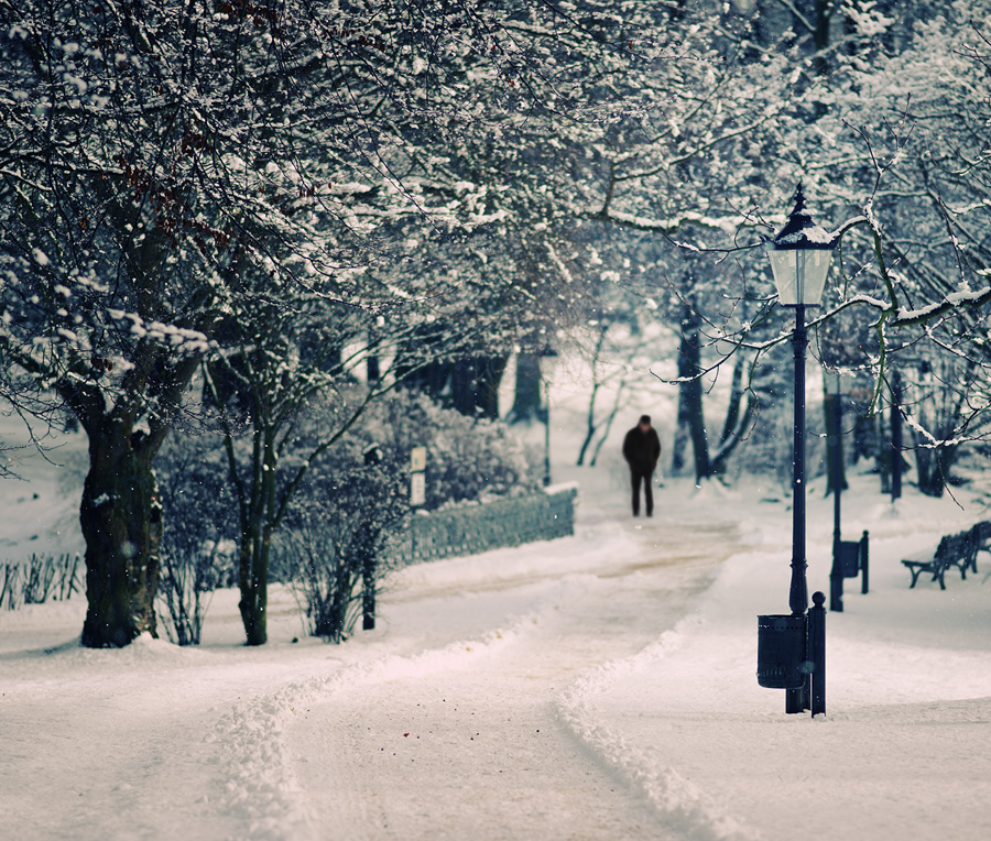 "man walking in the snow", "man walking in the park", snow, park, photograph