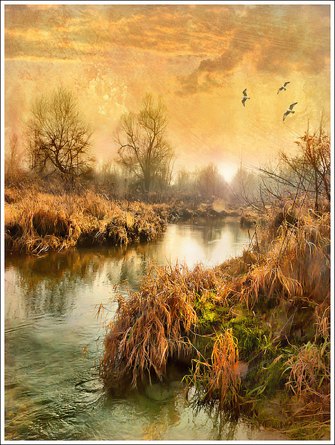 nature, swamp, march, watercolor, photograph, treatment