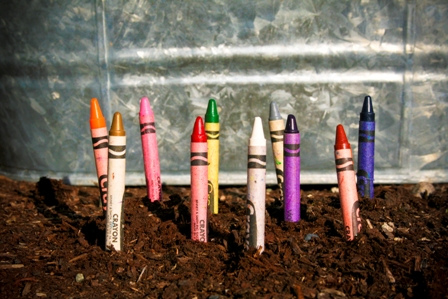"photograph of crayons growing in the dirt"