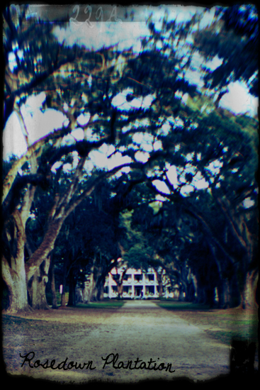 "faux daguerreotype of rosedown plantation in st. francisville, louisiana"