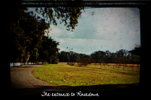 "the entrance to Rosedown Plantation"