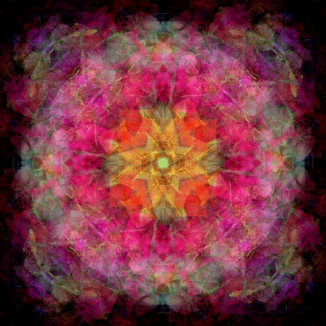 "photographic mandala comprised of pink and purple flowers"