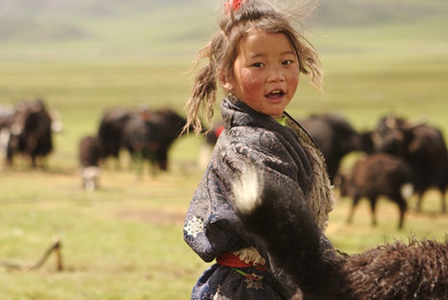 tibet girl