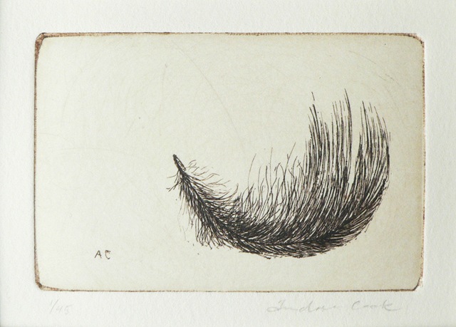 etching of a feather