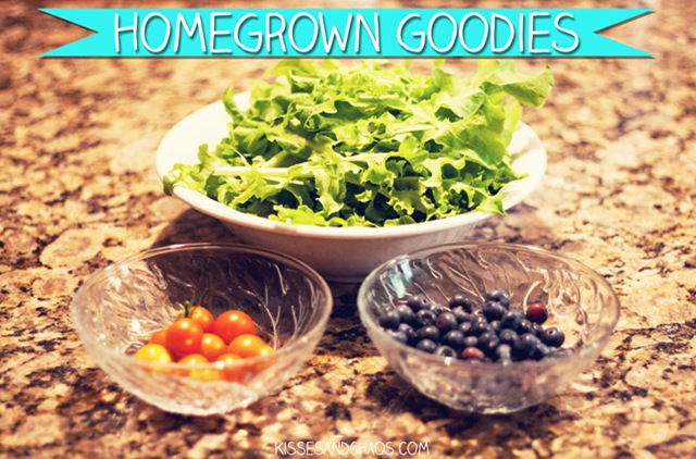 homegrown-goodies