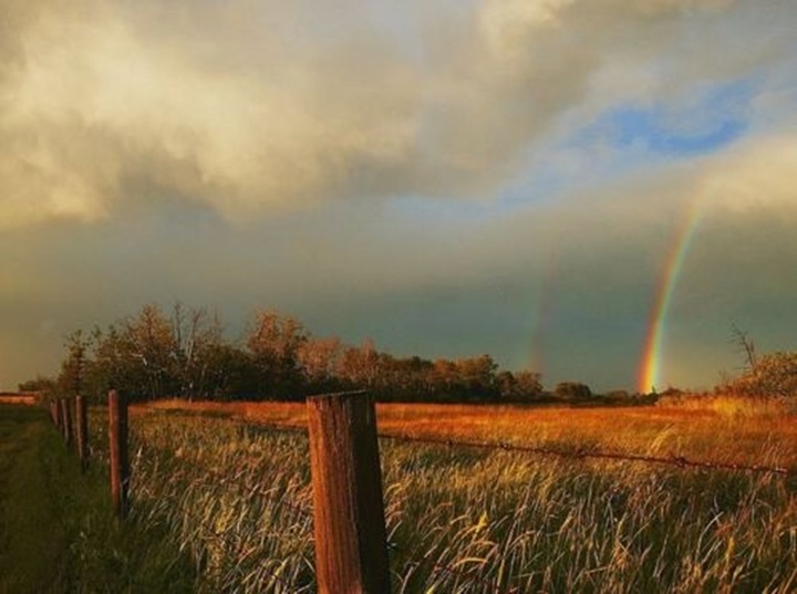 country living