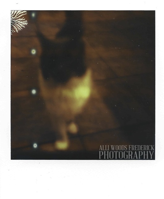impossible project