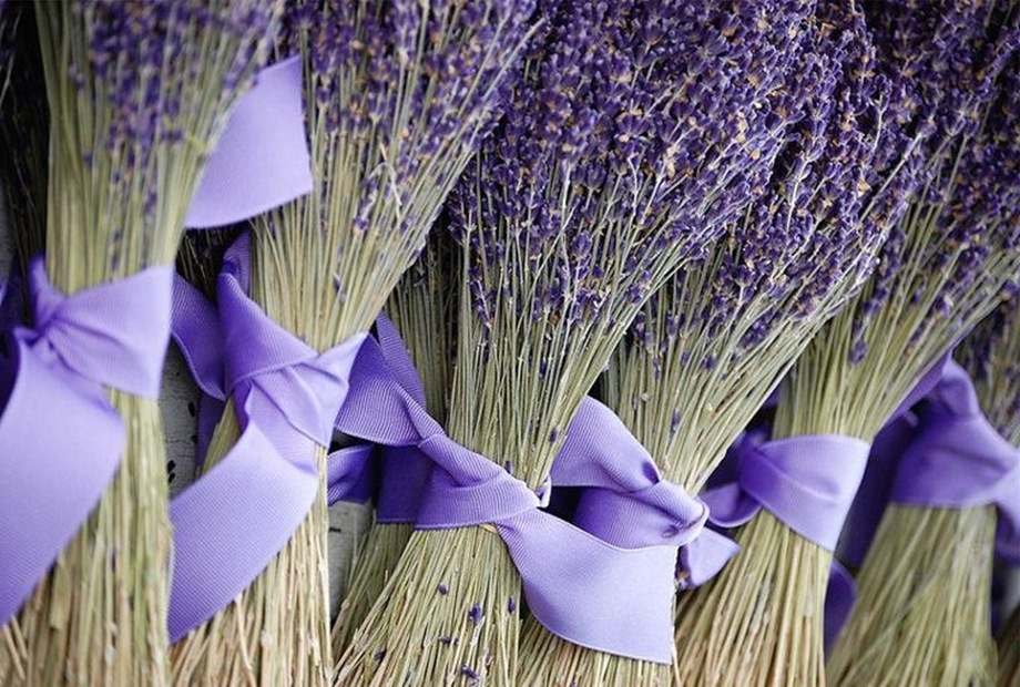 Five Ways to Use Lavender