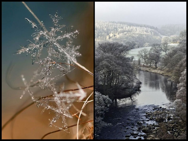 snow-flakes-and-countryside