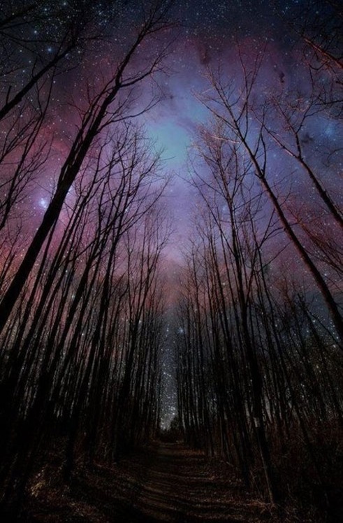 winter-night-sky